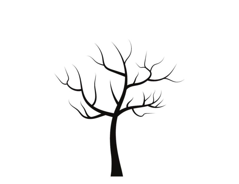 Tree Template Without Leaves - OriginalMOM