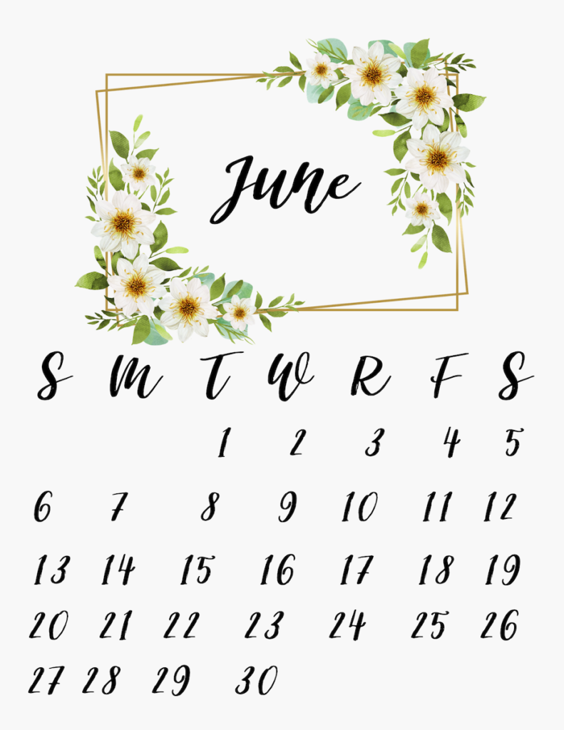 Cute June Floral Calendar 2021 Free Printable