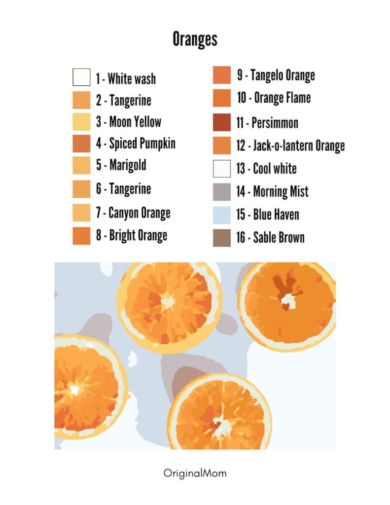 Oranges Paint By Number Free Download