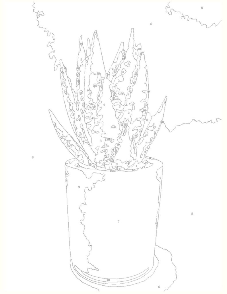  Simple Succulent Paint by Number PDF