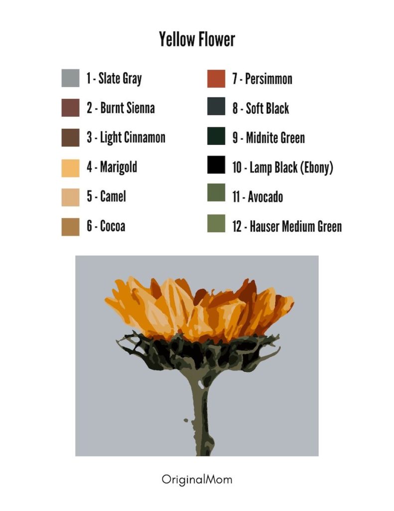 Yellow Flower Paint by Number for Beginners