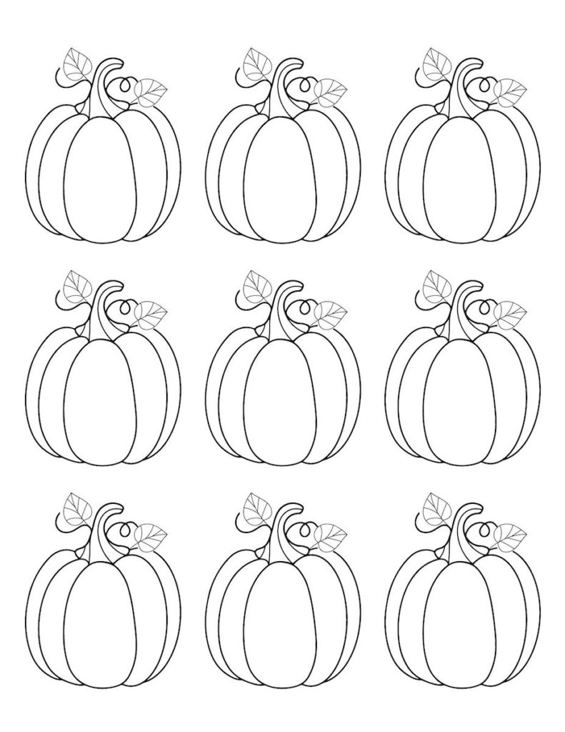 pumpkin with leaves set of 9 small size pumpkins PDF