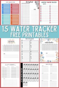 Free Monthly Water Tracker Printable + Tips for Tracking! - OriginalMOM